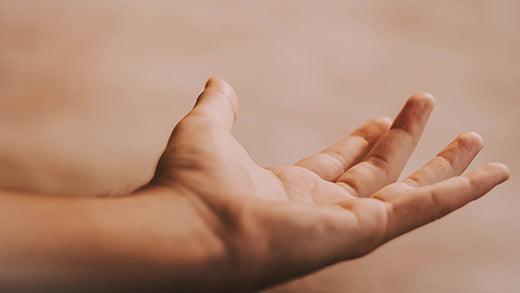 Plantopia Wellbeing Blog Five Ways To Wellbeing