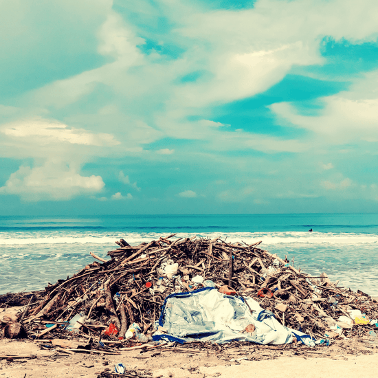 The Impact of Waste Management on our Planet – Exploring the 4 R’s - Plantopia